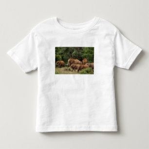 Camiseta De Bebé Kenia: Parque Nacional de Tsavo East, manada Afric
