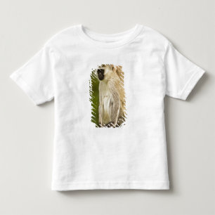 Camiseta De Bebé Kenia, Parque Nacional del Lago Nakuru. Vervet