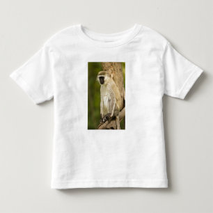 Camiseta De Bebé Kenia, Parque Nacional del Lago Nakuru. Vervet