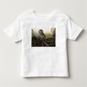 Camiseta De Bebé Kenia, Reserva de Caza Samburu. Vervet Monkey