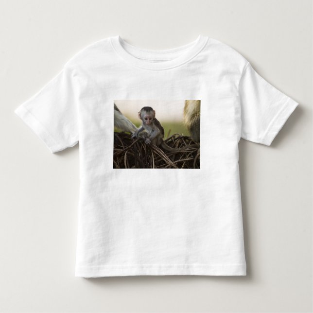 Camiseta De Bebé Kenia, Reserva de Caza Samburu. Vervet Monkey (Anverso)