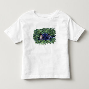 Camiseta De Bebé Kenia, Reserva Nacional Masai Mara.