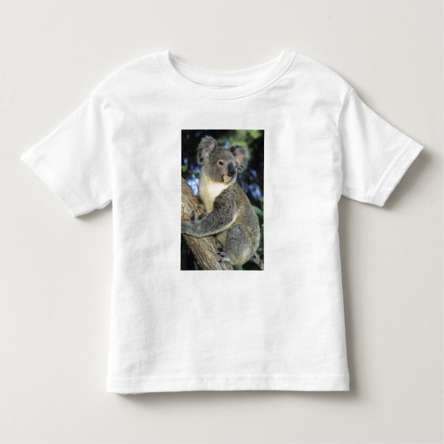 Camiseta De Bebé Koala, Phascolarctos cinereus), Australia, (Anverso)