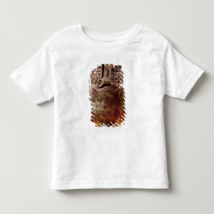 Camiseta De Bebé Krater, desde la tumba de una princesa de Vix