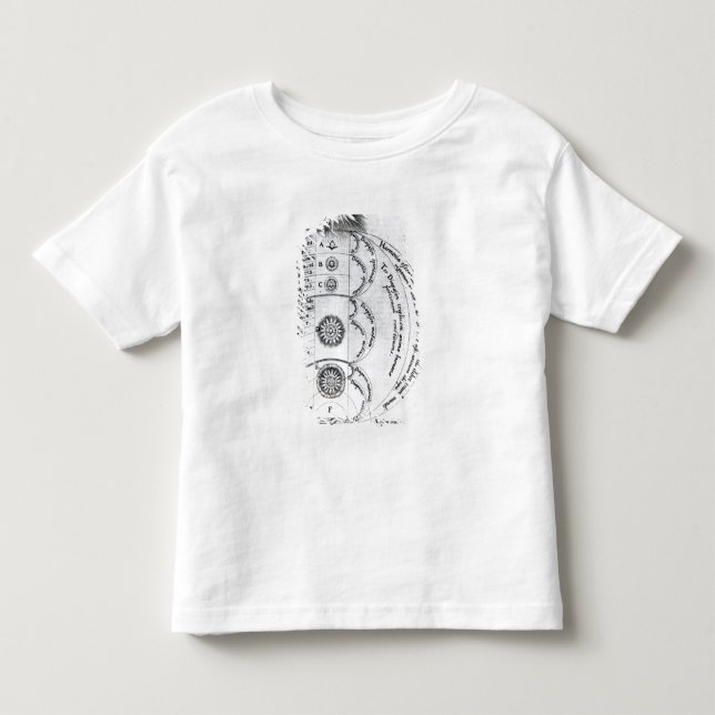 Camiseta De Bebé La armonía esencial (Anverso)
