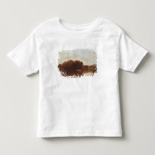 Camiseta De Bebé La confluencia