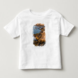 Camiseta De Bebé La costa rocosa de Isle au Haut en