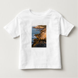 Camiseta De Bebé La costa rocosa de Isle au Haut en Maine