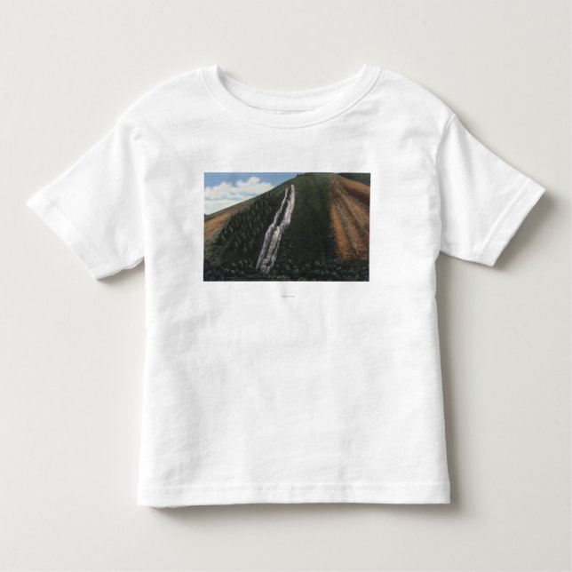 Camiseta De Bebé La diapositiva del diablo cerca de la frontera de (Anverso)