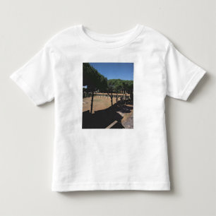 Camiseta De Bebé La gran palestra