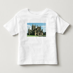 Camiseta De Bebé La iglesia de la catedral del Virgen María