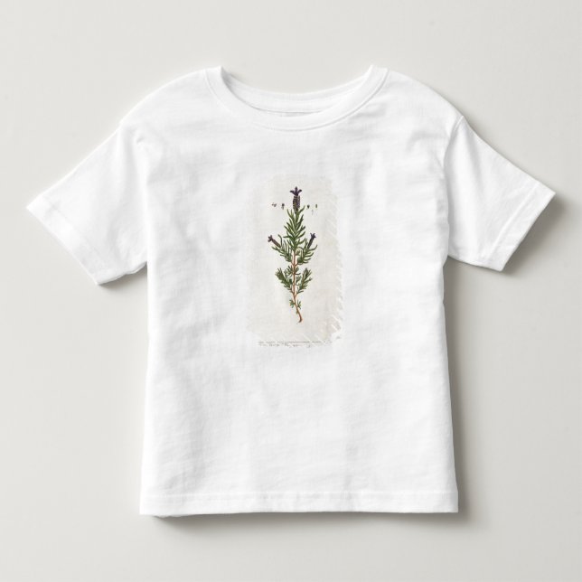Camiseta De Bebé La lavanda francesa, platea 241 'de un Herbal (Anverso)