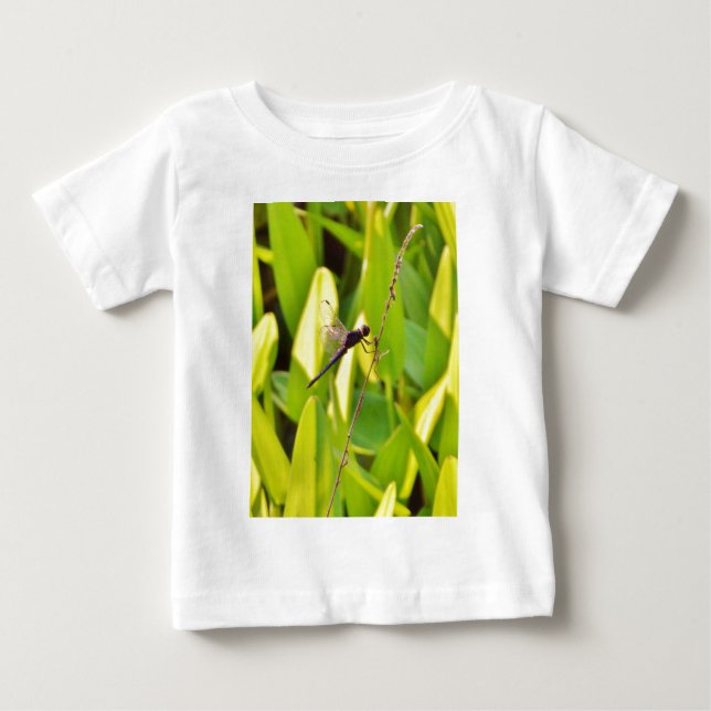 Camiseta De Bebé La libélula azul y la negra sobre la hierba. (Anverso)