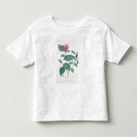 La magnolia se decolora, grabado por Legrand