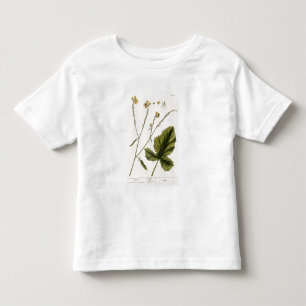 Camiseta De Bebé La mostaza, platea 446 "de un herbario curioso",