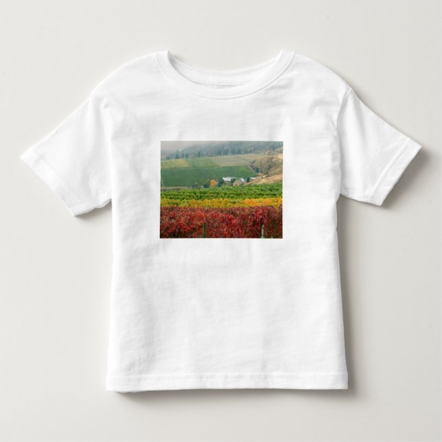 Camiseta De Bebé La niebla avanza sobre la Bodega de los Hermanos G (Anverso)