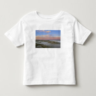 Camiseta De Bebé La niebla del río Little Missouri cuelga en el
