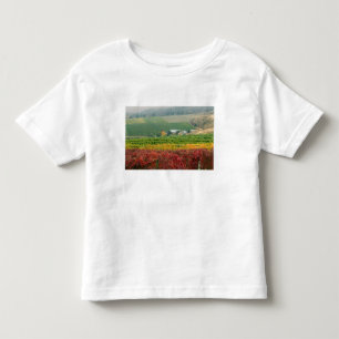 Camiseta De Bebé La niebla se arrastra sobre Gehring Brothers Winer
