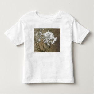 Camiseta De Bebé La nieve cubre las montañas rocosas en Estados Uni