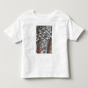 Camiseta De Bebé La nieve llena las ramas de los pinos ponderosa