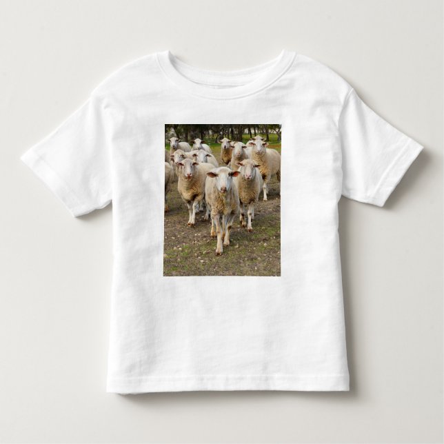 Camiseta De Bebé La Oveja Viene Marchando En Hurra, (Anverso)