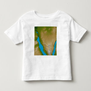 Camiseta De Bebé La península del Sinaí