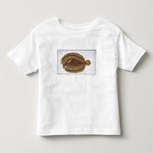 Camiseta De Bebé La placa XLVI de la platija de Argus (Pleuronectes