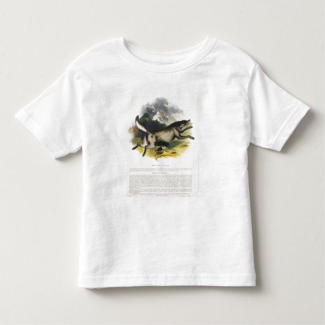 Camiseta De Bebé La PU educativa del ilustracion del lobo (lupus de (Anverso)