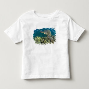 Camiseta De Bebé La tortuga verde (Chelonia mydas) es la 2