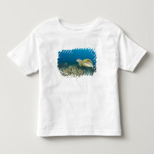 Camiseta De Bebé La Tortuga Verde, (Chelonia mydas), es la 3