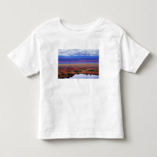 Camiseta De Bebé La tundra del Parque Nacional Denali a finales