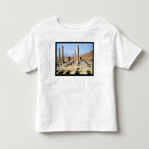 Camiseta De Bebé La vista general del Apadana fundó c.518 A.C.