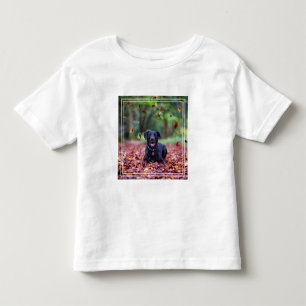 Camiseta De Bebé Labrador negro en hojas de otoño