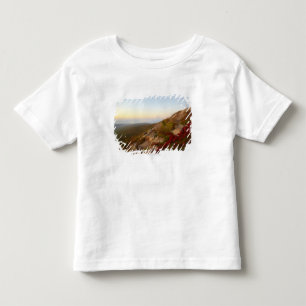 Camiseta De Bebé Ladera rocosa, flores rojas, parque nacional del