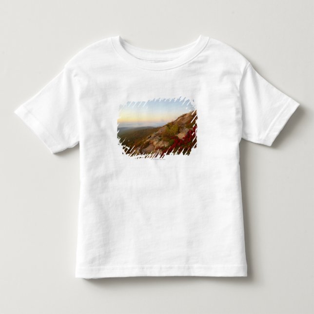 Camiseta De Bebé Ladera rocosa, flores rojas, parque nacional del (Anverso)