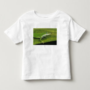 Camiseta De Bebé Lagarto verde, Anolis carolinensis, adulto en palm