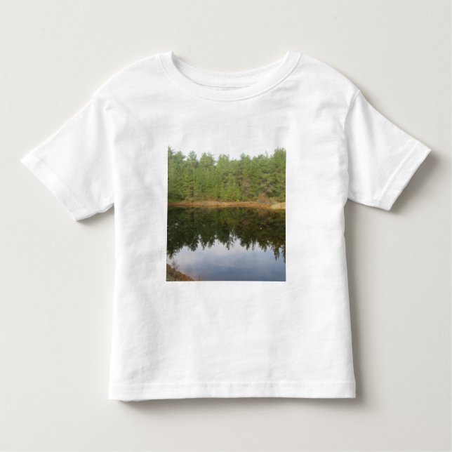 Camiseta De Bebé Lago de reflexión de árbol de pino (Anverso)