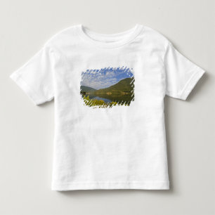 Camiseta De Bebé Lago Kootenay en Nelson Columbia Británica
