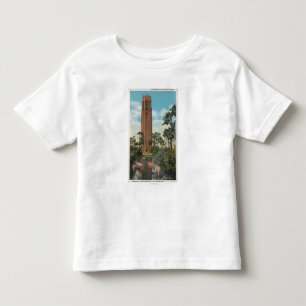 Camiseta De Bebé Lago País de Gales, FL - propósito del canto