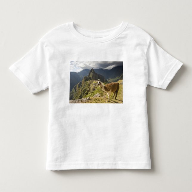 Camiseta De Bebé Lamas y una mirada de Machu Picchu, (Anverso)