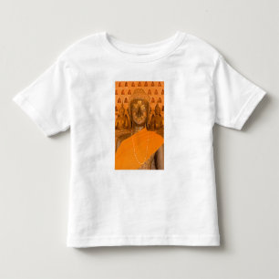 Camiseta De Bebé Laos, Vientián, una de 6840 imágenes de Buda en