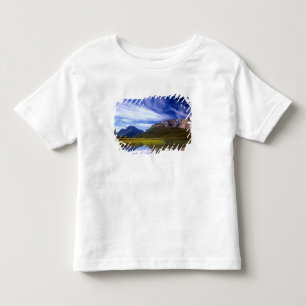 Camiseta De Bebé Las aguas tranquilas del lago Waterfowl hacen una