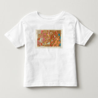 Camiseta De Bebé Lavabo de Nevada geológico
