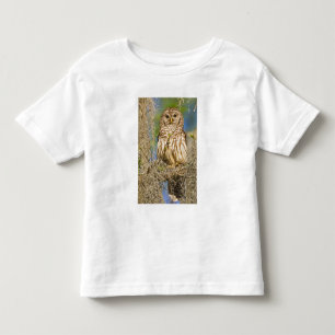 Camiseta De Bebé Lechuza Barrada (Strix varia) encaramada en un cip
