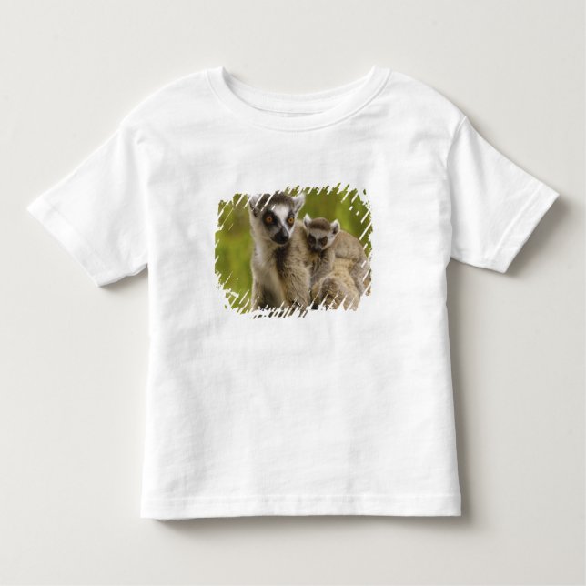 Camiseta De Bebé Lemures (Lemur catta) Madre y bebé. (Anverso)