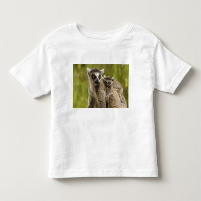 Camiseta De Bebé Lemures (Lemur catta) Madre y bebé. (Anverso)