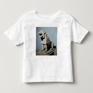 Camiseta De Bebé León