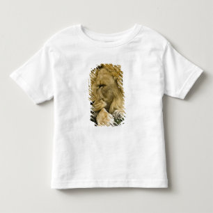 Camiseta De Bebé León africano, Panthera leo, acostado dormido