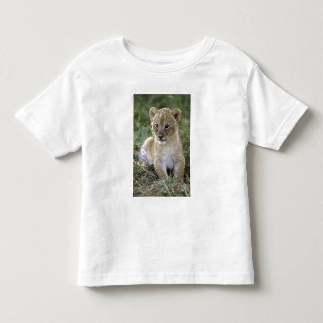 Camiseta De Bebé León africano, Panthera leo), Tanzania, (Anverso)