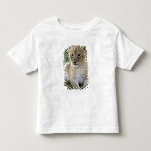 Camiseta De Bebé león africano, Panthera leo), Tanzania,